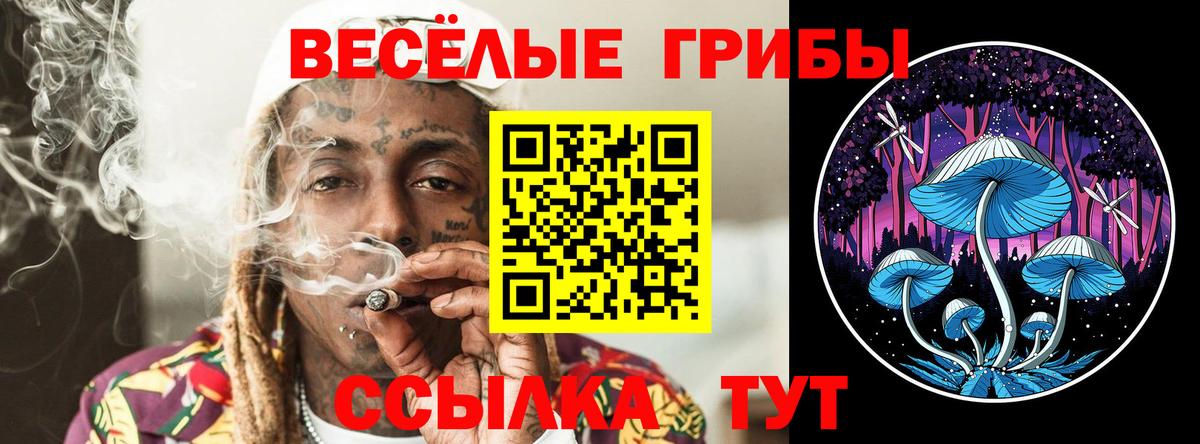 Псилоцибиновые грибы мухоморы Ковров